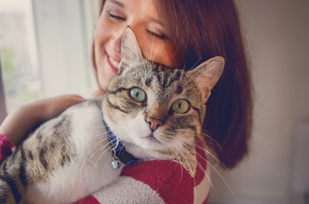 your cat really likes spending time with you