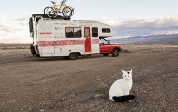 This Traveling Cat Lives The Life You Wish You Could