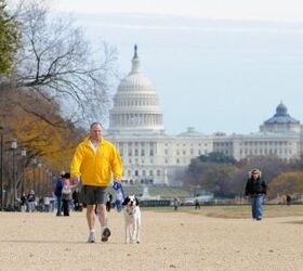 New Info Says Congress Can Agree On One Thing: It Loves Pets!