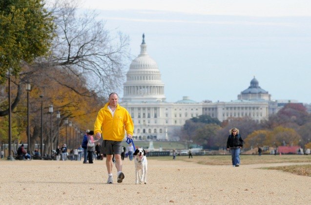 new info says congress can agree on one thing it loves pets