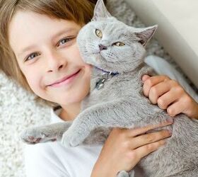 habri grant helps study impact of shelter cat adoption by kids with au