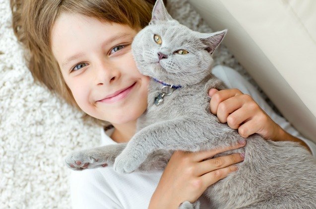 habri grant helps study impact of shelter cat adoption by kids with autism