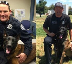 Surviving Family Of Modesto Police Officer Will Adopt His K9 Service D