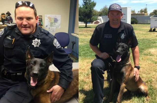 surviving family of modesto police officer will adopt his k9 service d