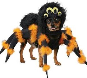 Spider Dog Costume Will Scare the Squee Out of You This Halloween