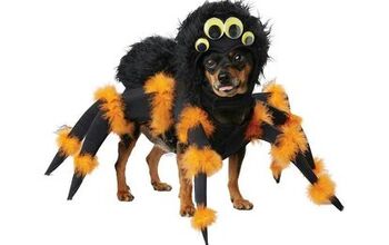 Spider Dog Costume Will Scare the Squee Out of You This Halloween