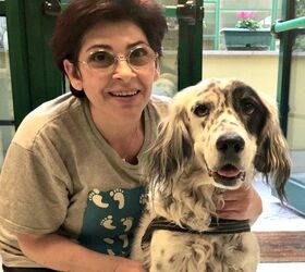 Woman Earns Sick Pay While Caring For Her Ill Dog in Landmark Italian 