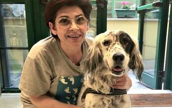 Woman Earns Sick Pay While Caring For Her Ill Dog in Landmark Italian 