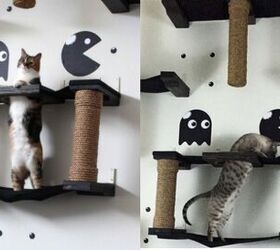 crazy cat houses let your kitty be indiana jones