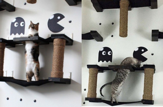 crazy cat houses let your kitty be indiana jones