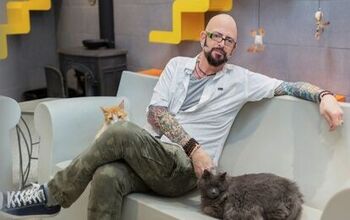 The Cat Daddy Partners With GreaterGood.Org to Help At-Risk Animals