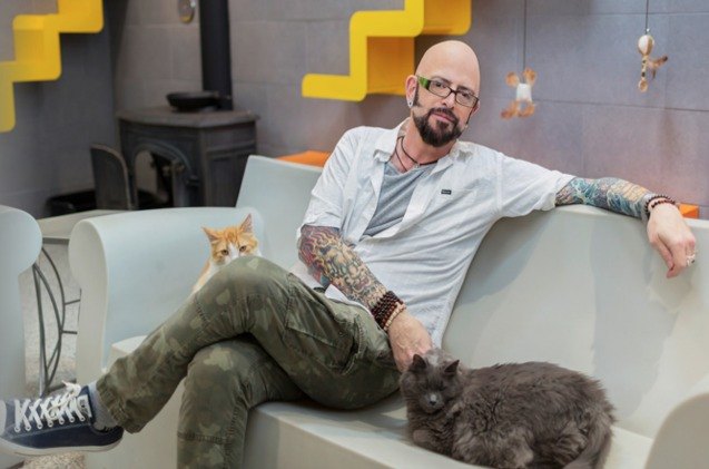 the cat daddy partners with greatergood org to help at risk animals