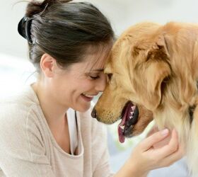 Study: People More Empathetic Toward Dogs Than Fellow Humans