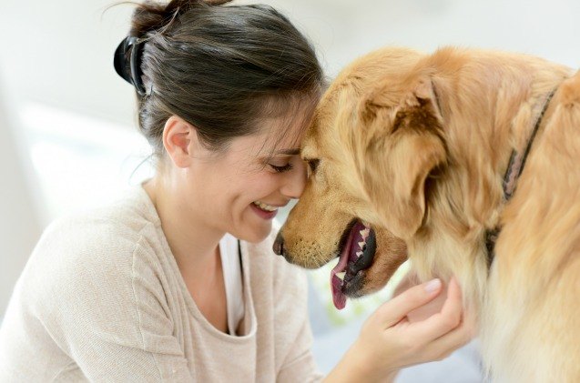 study people more empathetic toward dogs than fellow humans