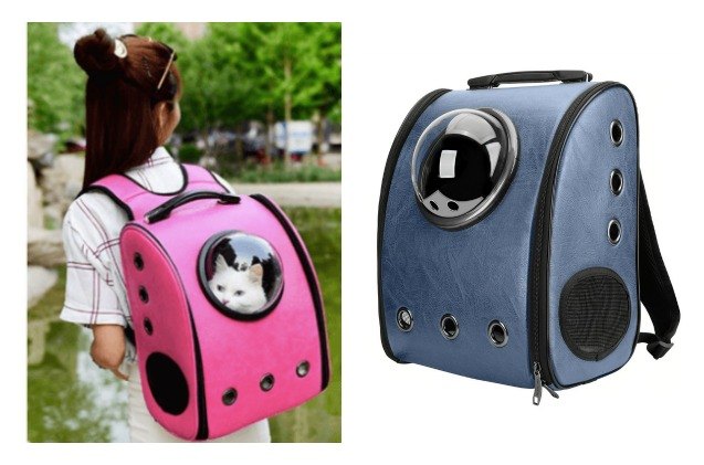 texsen s futuristic travel bubble pet backpack offers a spectacular view