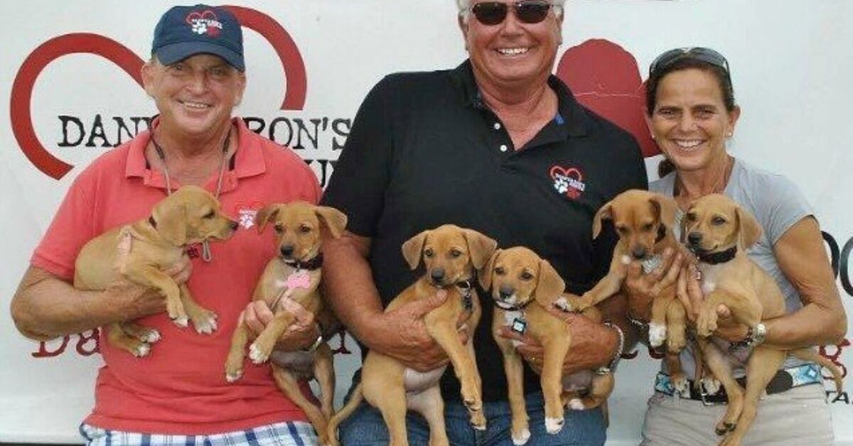 Help Kickstart a Documentary About a Real-Life Doghouse Rescue | PetGuide