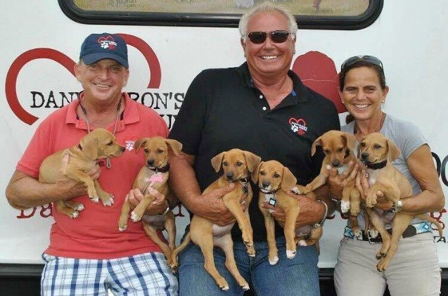 Help Kickstart a Documentary About a Real-Life Doghouse Rescue | PetGuide