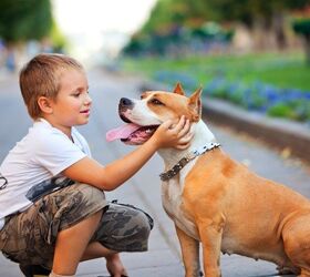 New Research Suggests Dogs Help With Eczema and Asthma in Children