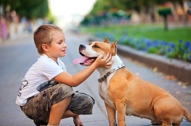 new research suggests dogs help with eczema and asthma in children