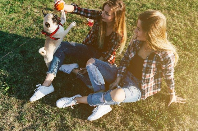 sorority sisters go to court over service dog in chi omega house