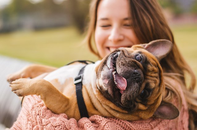 study oxytocin hormone draws dogs to smiling faces