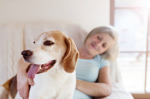 new research shows dogs help their humans live longer