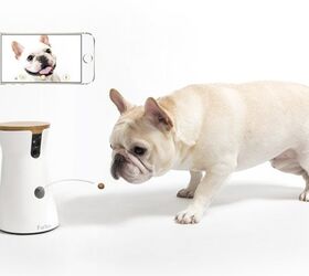 meet the all new ai powered furbo treat tossing pet camera
