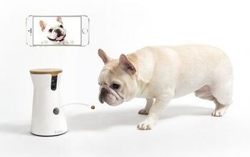 Meet the All New, AI-Powered Furbo Treat-Tossing Pet Camera