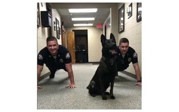 K-9 Crime Fighter Does Pushups Better Than You Do!