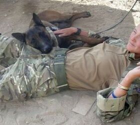SAS Andy McNabb Joins British Handlers To Save Military Dogs From Deat