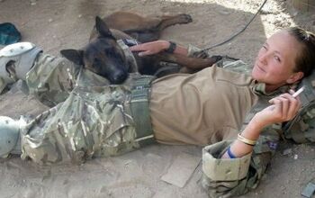 SAS Andy McNabb Joins British Handlers To Save Military Dogs From Deat