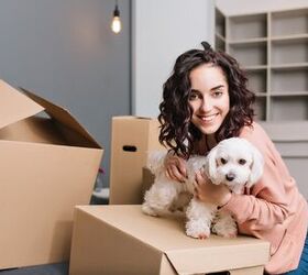 5 Apartment Hunting Tips for Pet Parents