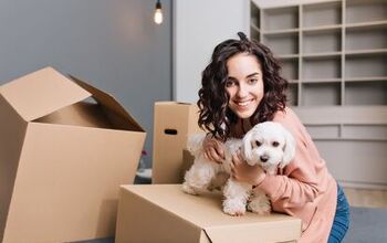 5 Apartment Hunting Tips for Pet Parents
