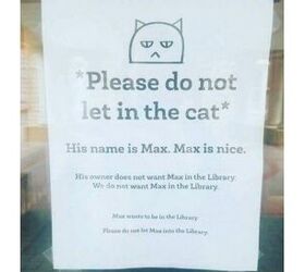 Max the Cat Does What He Wants and Keeps Sneaking Into Library