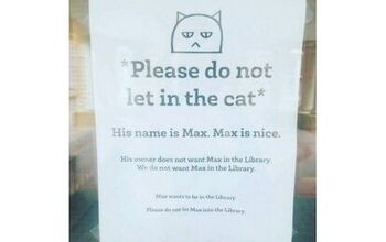 Max the Cat Does What He Wants and Keeps Sneaking Into Library