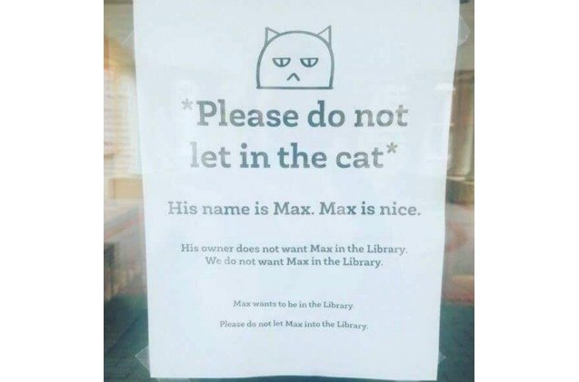 max the cat does what he wants and keeps sneaking into library