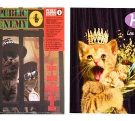 Kitten Album Covers Proves That Cats Rock!