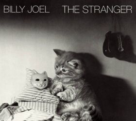 kitten album covers proves that cats rock