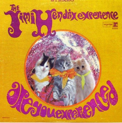 kitten album covers proves that cats rock