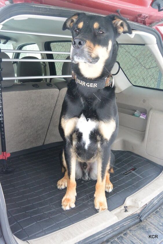 Dog Gate For Car Pet Barrier Behind 2nd Row WeatherTech Pet