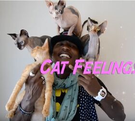 cat rapper moshow shares his feline inspired feelings video