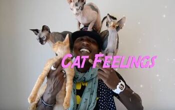 Cat Rapper Moshow Shares His Feline-Inspired Feelings [Video]