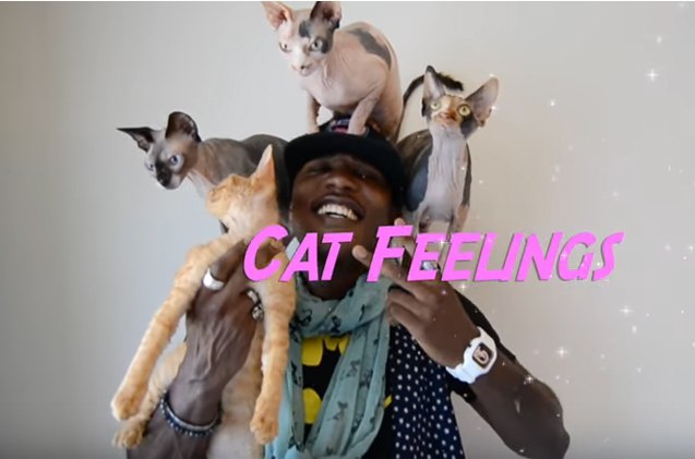 cat rapper moshow shares his feline inspired feelings video
