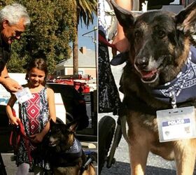 Ailing Dog Honorary K9 Member Serves and Protects Her Girl