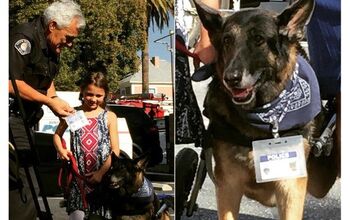 Ailing Dog Honorary K9 Member Serves and Protects Her Girl