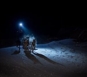 How To Choose a Headlamp for Night Time Dog Mushing