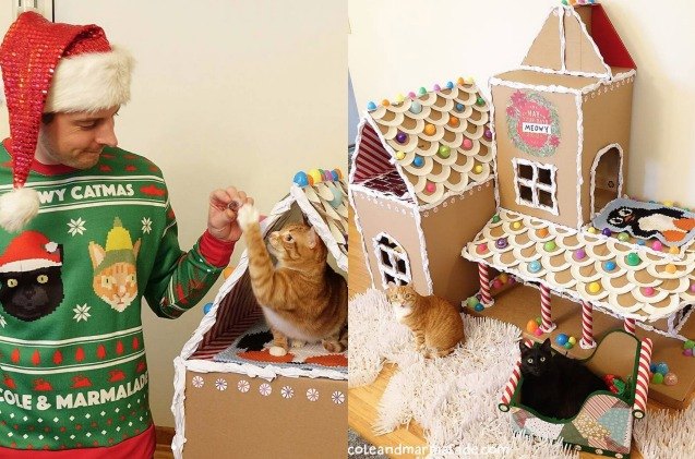 diy gingerbread house for cats is too tempting to resist video