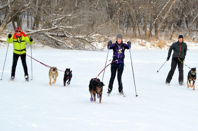 6 types of urban mushers you ll meet on the trails