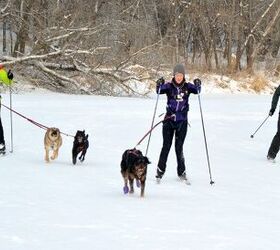6 Types of Urban Mushers You’ll Meet on the Trails