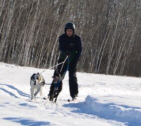6 types of urban mushers youll meet on the trails